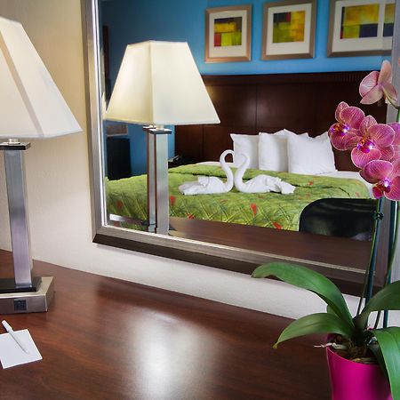Ramada By Wyndham Flamingo Water Park Hotell Kissimmee Eksteriør bilde