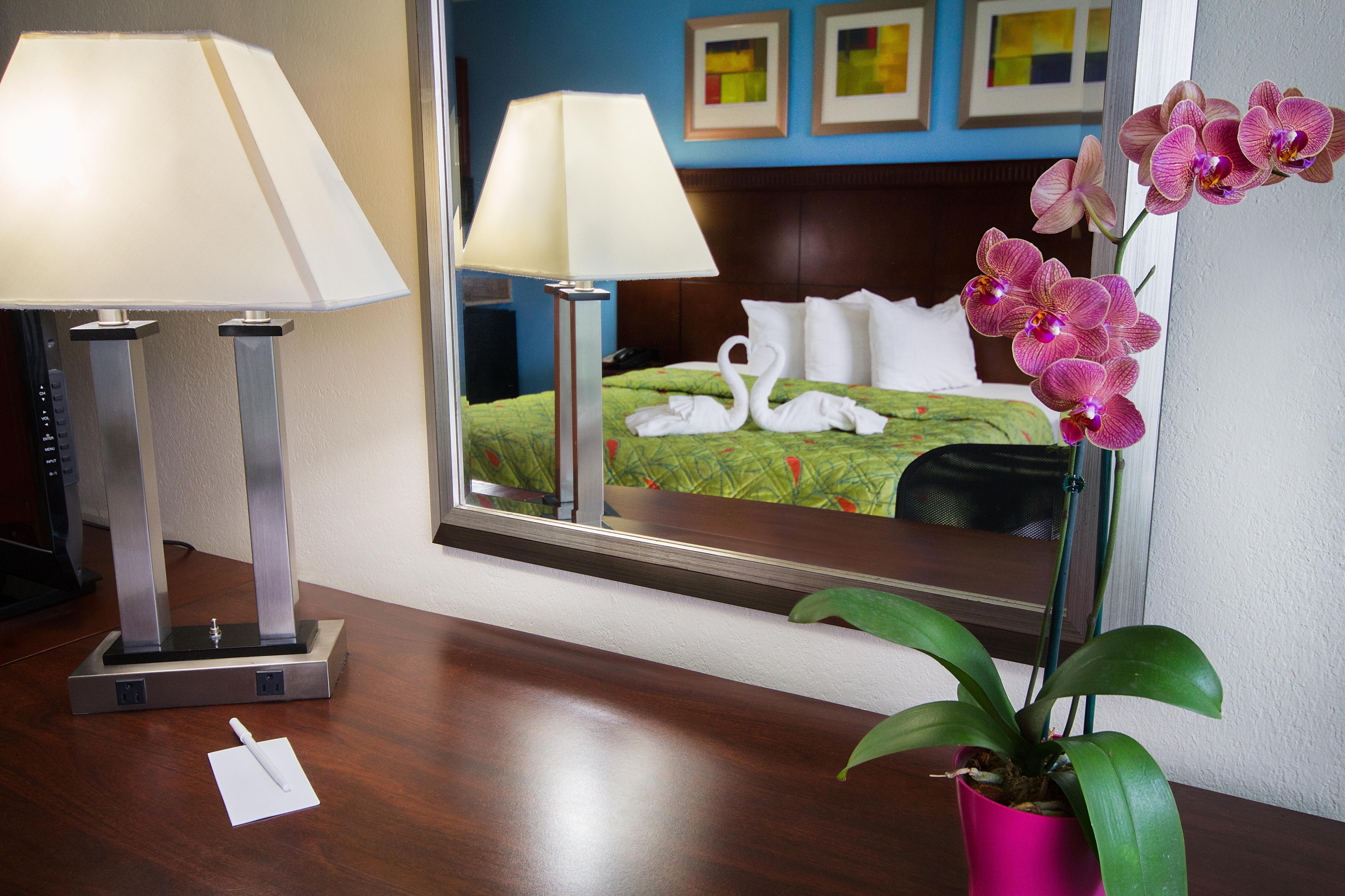 Ramada By Wyndham Flamingo Water Park Hotell Kissimmee Eksteriør bilde
